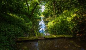 Preview wallpaper landscape, stream, bridge, trees