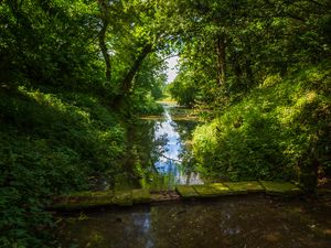 Preview wallpaper landscape, stream, bridge, trees