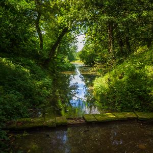 Preview wallpaper landscape, stream, bridge, trees