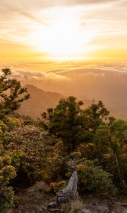 Preview wallpaper landscape, sunrise, mountains, trees, clouds