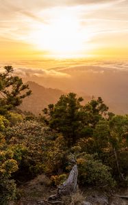 Preview wallpaper landscape, sunrise, mountains, trees, clouds