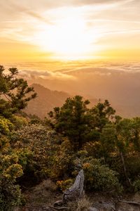 Preview wallpaper landscape, sunrise, mountains, trees, clouds