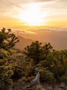 Preview wallpaper landscape, sunrise, mountains, trees, clouds