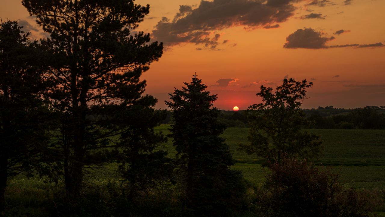 Wallpaper landscape, sunset, trees, dark