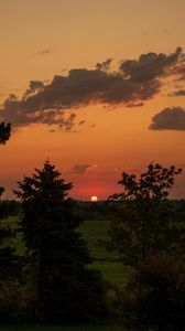 Preview wallpaper landscape, sunset, trees, dark