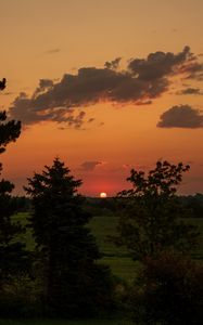 Preview wallpaper landscape, sunset, trees, dark