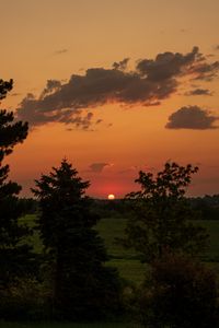 Preview wallpaper landscape, sunset, trees, dark