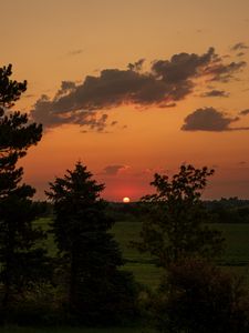 Preview wallpaper landscape, sunset, trees, dark