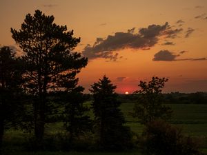 Preview wallpaper landscape, sunset, trees, dark