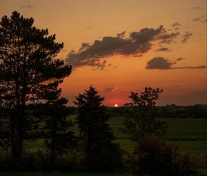 Preview wallpaper landscape, sunset, trees, dark