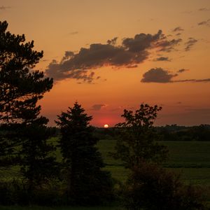 Preview wallpaper landscape, sunset, trees, dark