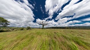 Preview wallpaper landscape, tree, field, grass, sky