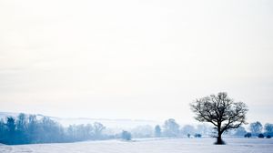 Preview wallpaper landscape, tree, lonely, snow, winter, empty, cold