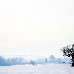 Preview wallpaper landscape, tree, lonely, snow, winter, empty, cold