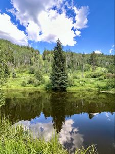 Preview wallpaper landscape, tree, pond, forest, grass