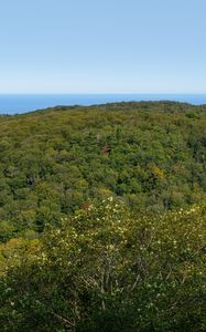 Preview wallpaper landscape, trees, forest, nature, hill