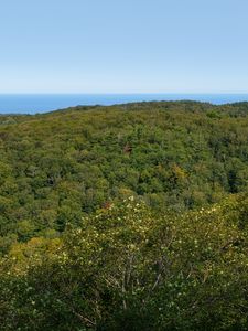 Preview wallpaper landscape, trees, forest, nature, hill