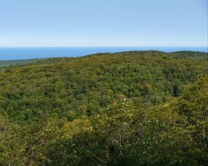 Preview wallpaper landscape, trees, forest, nature, hill