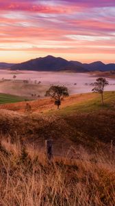 Preview wallpaper landscape, trees, hills, grass, nature