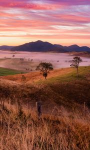 Preview wallpaper landscape, trees, hills, grass, nature