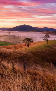 Preview wallpaper landscape, trees, hills, grass, nature