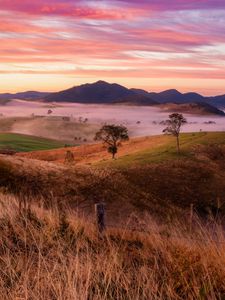 Preview wallpaper landscape, trees, hills, grass, nature