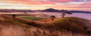 Preview wallpaper landscape, trees, hills, grass, nature