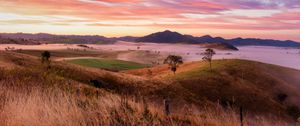 Preview wallpaper landscape, trees, hills, grass, nature