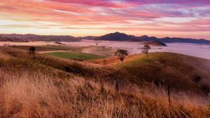 Preview wallpaper landscape, trees, hills, grass, nature