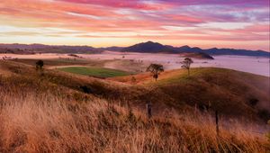 Preview wallpaper landscape, trees, hills, grass, nature