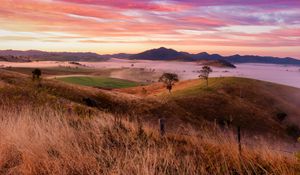 Preview wallpaper landscape, trees, hills, grass, nature