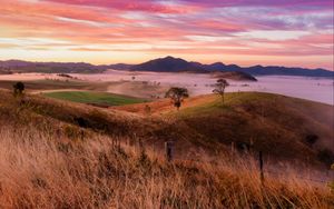 Preview wallpaper landscape, trees, hills, grass, nature