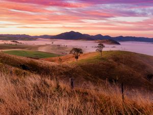 Preview wallpaper landscape, trees, hills, grass, nature