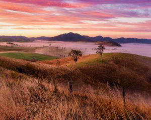 Preview wallpaper landscape, trees, hills, grass, nature