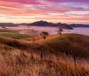 Preview wallpaper landscape, trees, hills, grass, nature