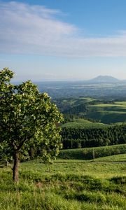 Preview wallpaper landscape, trees, hills, sky, grass