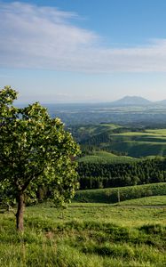 Preview wallpaper landscape, trees, hills, sky, grass