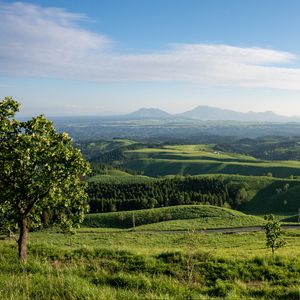 Preview wallpaper landscape, trees, hills, sky, grass