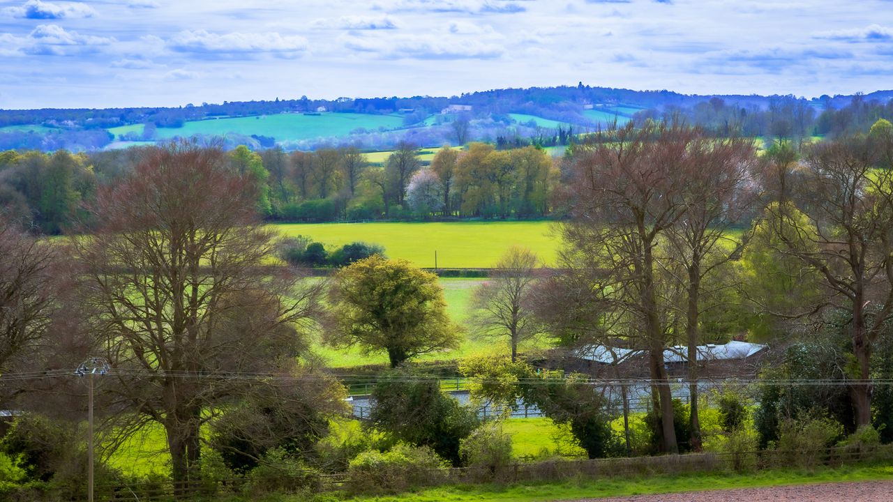 Wallpaper landscape, trees, meadow, river, nature