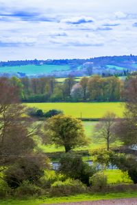 Preview wallpaper landscape, trees, meadow, river, nature