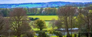 Preview wallpaper landscape, trees, meadow, river, nature