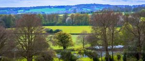 Preview wallpaper landscape, trees, meadow, river, nature