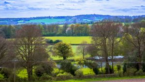 Preview wallpaper landscape, trees, meadow, river, nature