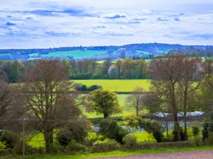 Preview wallpaper landscape, trees, meadow, river, nature