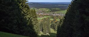 Preview wallpaper landscape, trees, meadows, houses