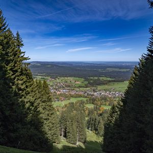 Preview wallpaper landscape, trees, meadows, houses