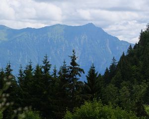 Preview wallpaper landscape, trees, mountains, nature