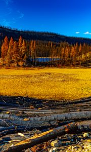 Preview wallpaper landscape, trees, river, autumn, nature