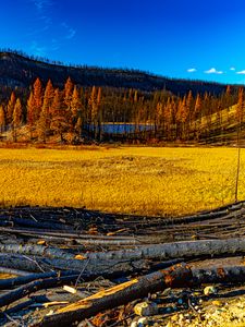 Preview wallpaper landscape, trees, river, autumn, nature