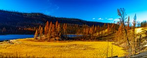 Preview wallpaper landscape, trees, river, autumn, nature